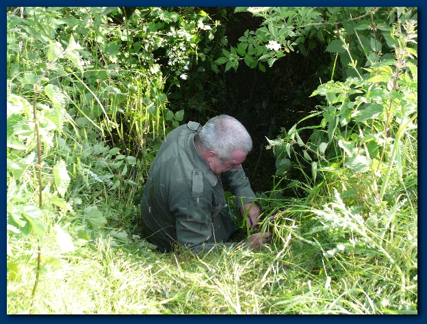 600x449 pixels (220K)