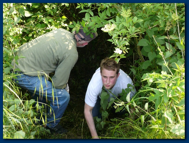 600x449 pixels (201K)