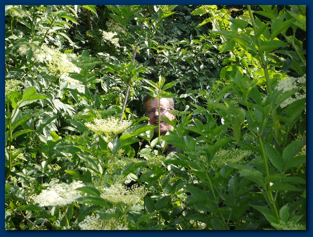 600x449 pixels (218K)