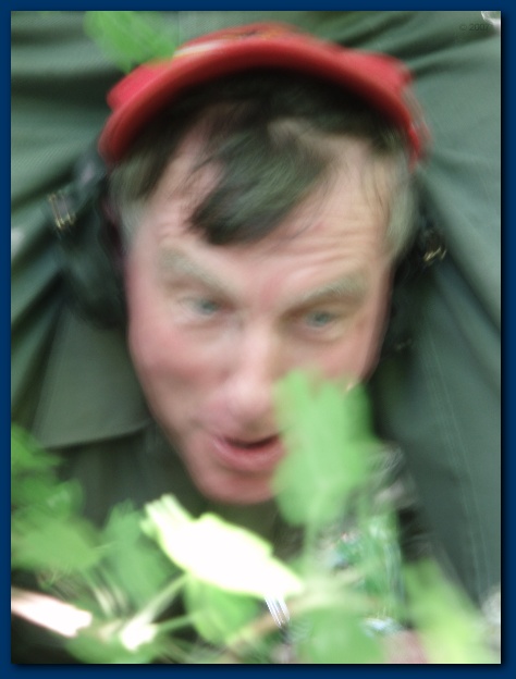 450x599 pixels (70K)