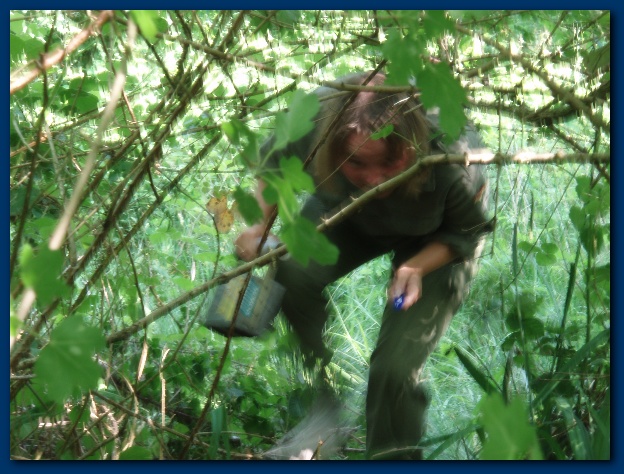 600x449 pixels (155K)