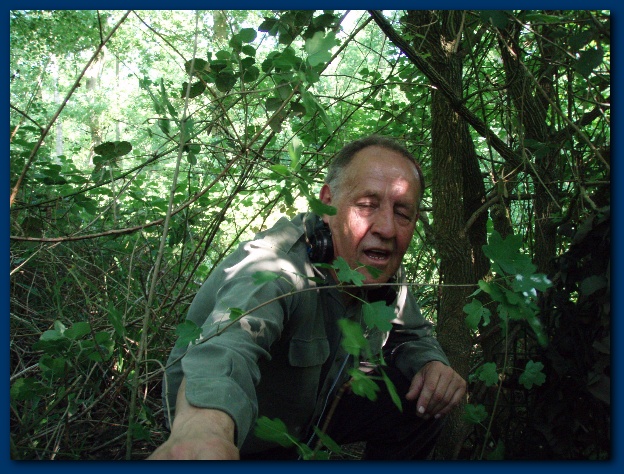 600x449 pixels (179K)