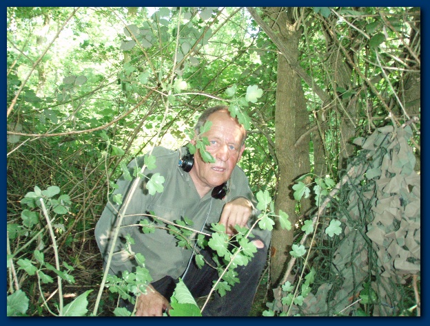 600x449 pixels (197K)