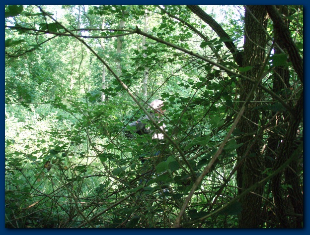 600x449 pixels (213K)