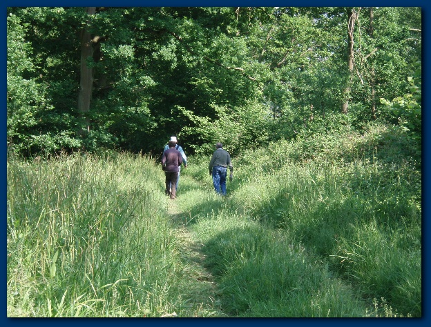 600x449 pixels (213K)