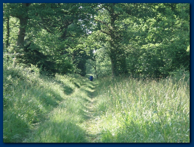 600x449 pixels (196K)