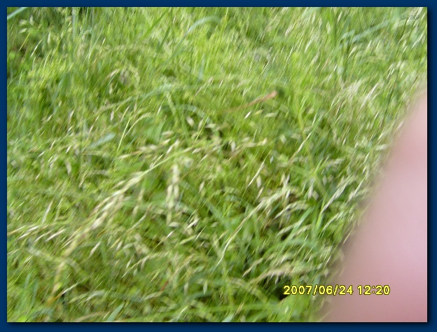 600x449 pixels (153K)