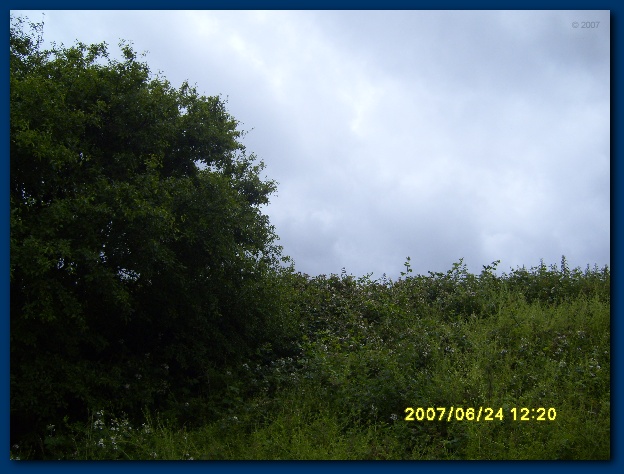 600x449 pixels (114K)