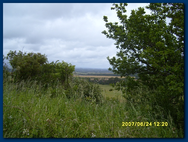 600x449 pixels (166K)