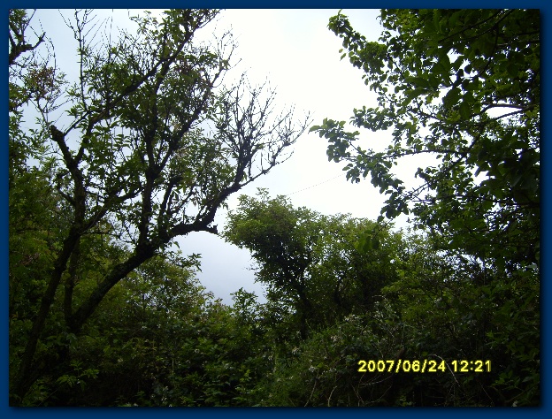 600x449 pixels (198K)