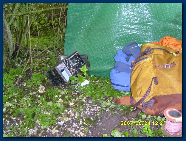 600x449 pixels (202K)