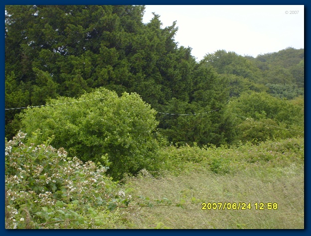 600x449 pixels (175K)