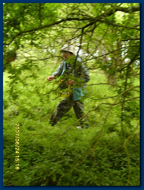 450x599 pixels (171K)