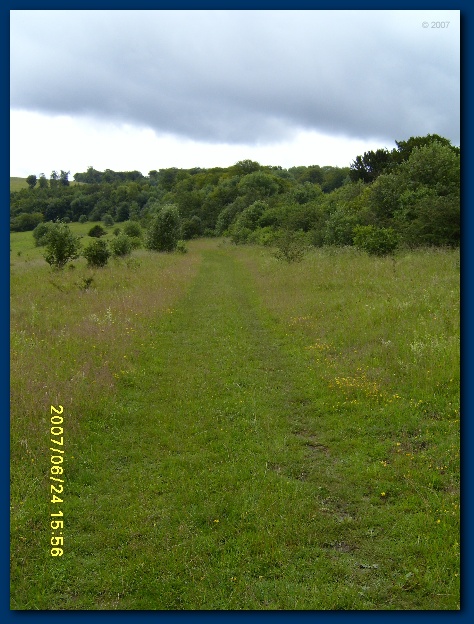 450x599 pixels (140K)