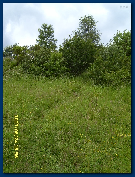 450x599 pixels (177K)