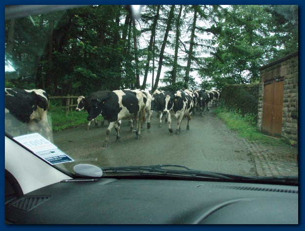 600x449 pixels (155K)