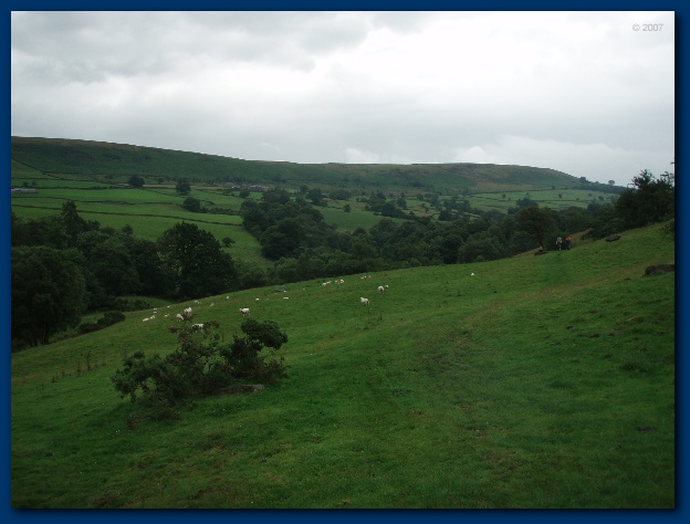 600x449 pixels (95K)