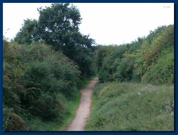 600x449 pixels (112K)