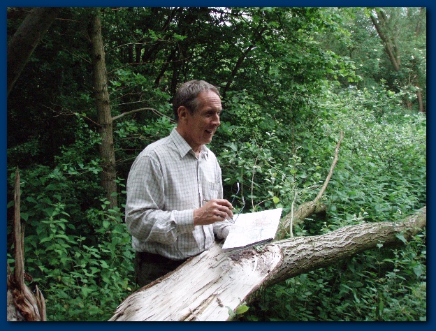 600x449 pixels (194K)