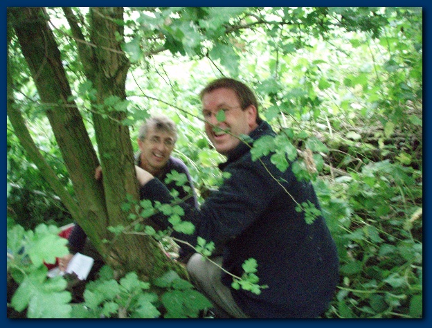 600x449 pixels (176K)