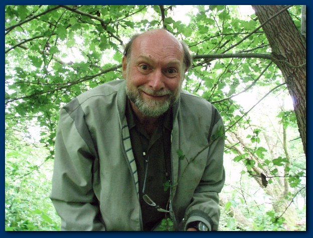 600x449 pixels (178K)