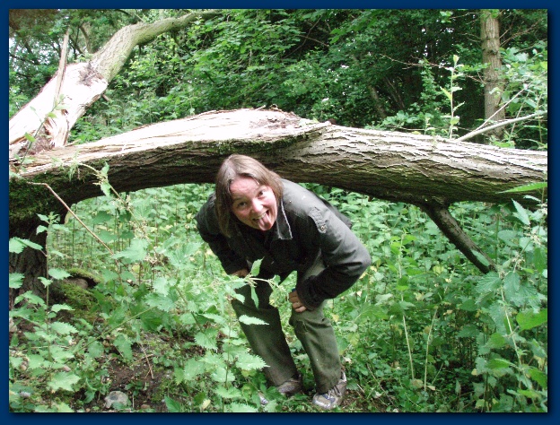 600x449 pixels (207K)