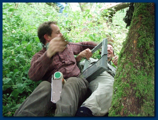 600x449 pixels (175K)