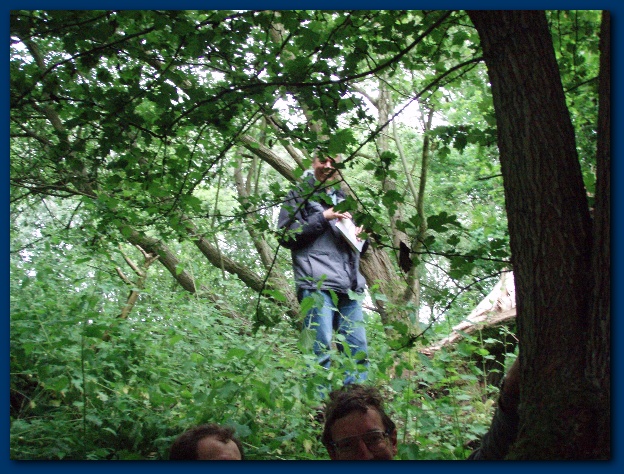 600x449 pixels (195K)