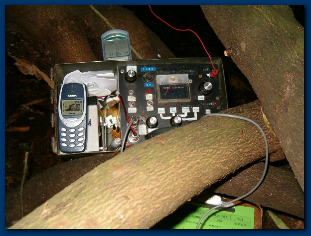 600x449 pixels (141K)