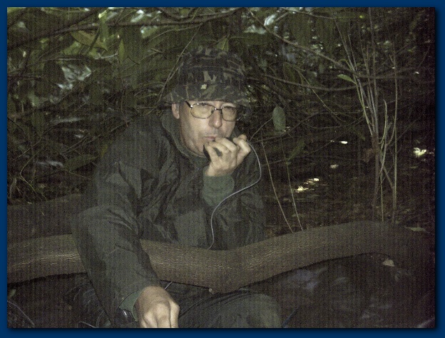 600x449 pixels (146K)