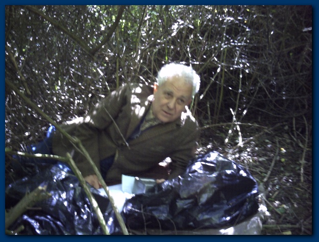 600x449 pixels (142K)