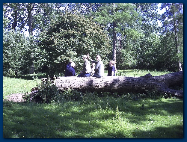 600x449 pixels (229K)