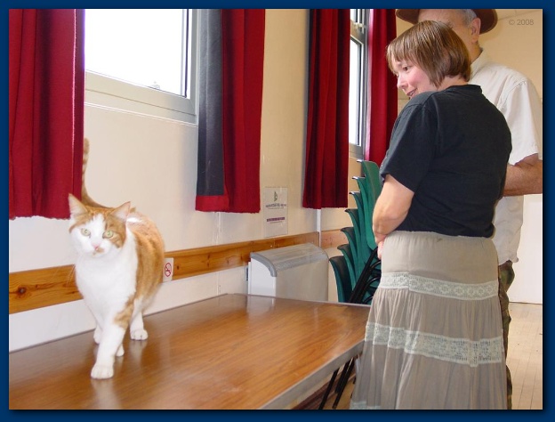 600x449 pixels (93K)