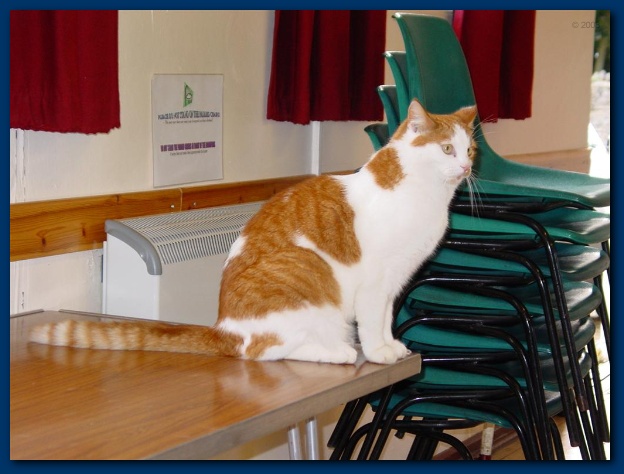 600x449 pixels (100K)