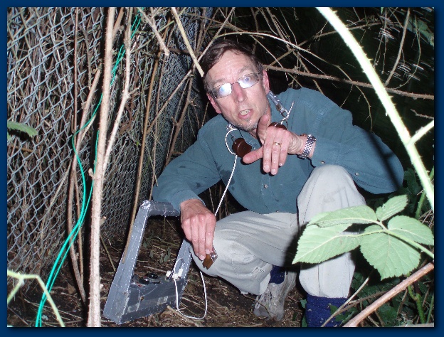 600x449 pixels (187K)