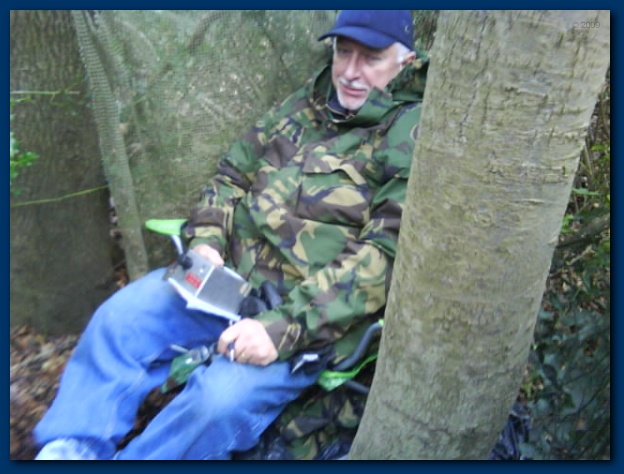 600x449 pixels (106K)