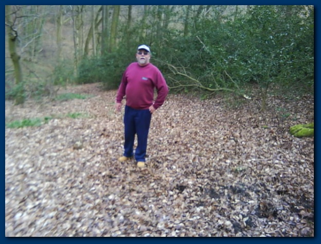 600x449 pixels (136K)