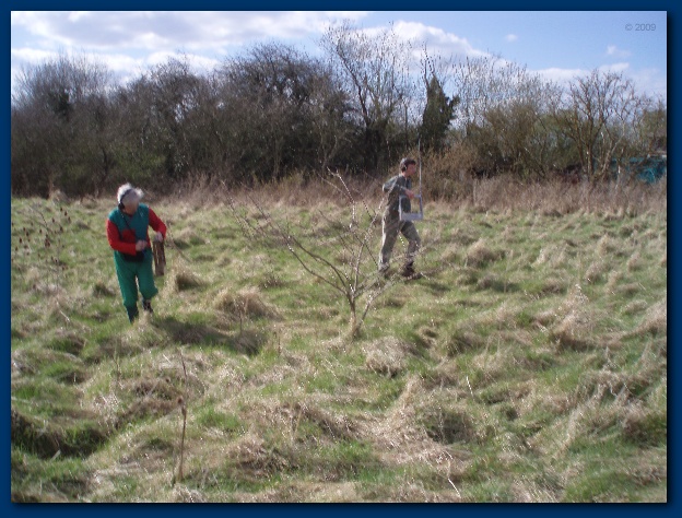 600x449 pixels (155K)