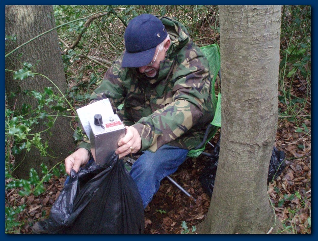 600x449 pixels (180K)