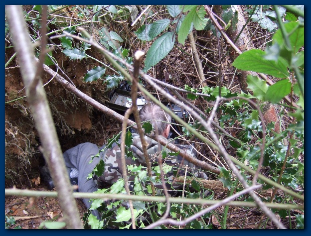 600x449 pixels (202K)