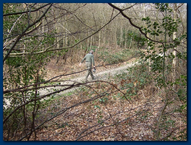 600x449 pixels (238K)