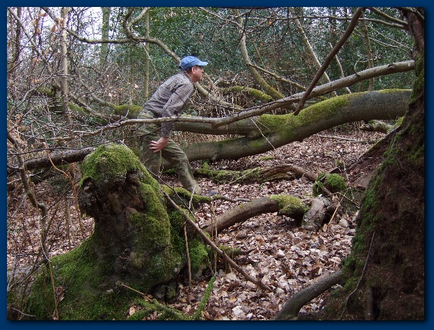 600x449 pixels (213K)