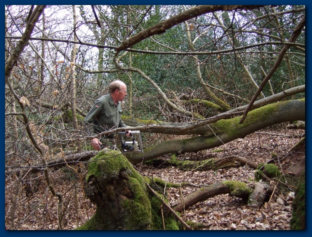 600x449 pixels (229K)