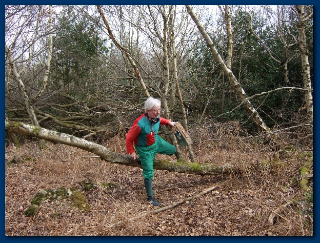 600x449 pixels (232K)