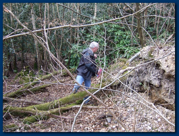 600x449 pixels (232K)