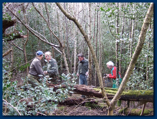 600x449 pixels (242K)