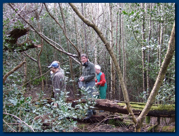 600x449 pixels (242K)