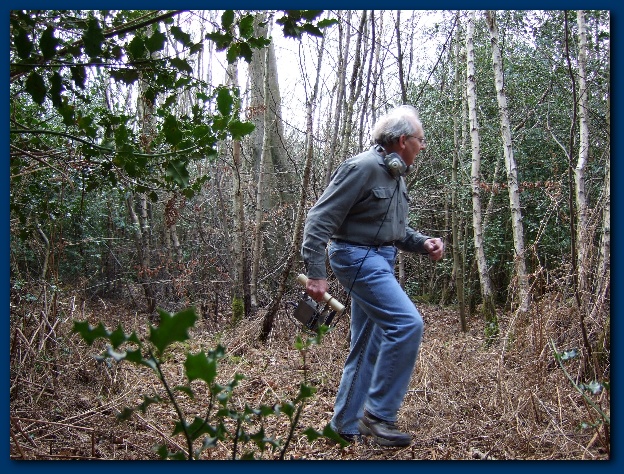 600x449 pixels (231K)