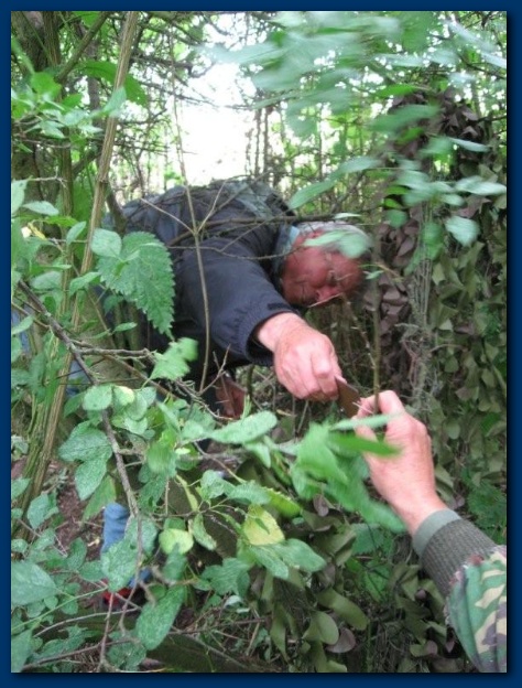 450x599 pixels (147K)