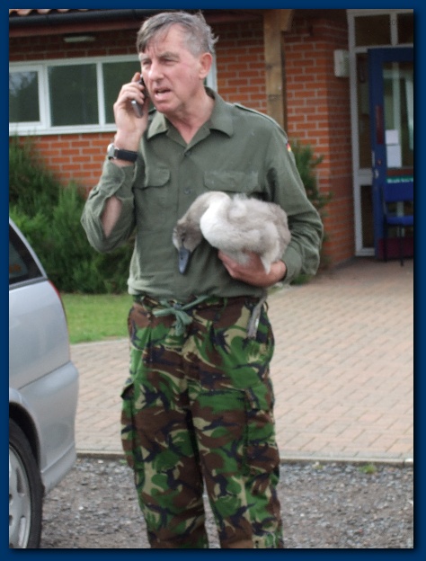 450x599 pixels (105K)